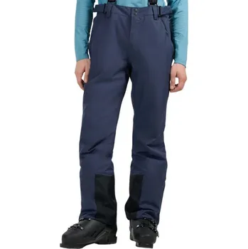 Pánské kalhoty Pánské lyžařské kalhoty 4F FNK M1155 navy blue 4FWAW25TFTRM1155 31S XL