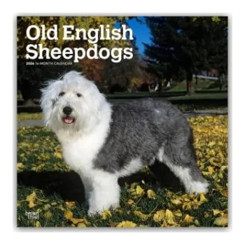Diář Old English Sheepdog - Bobtail - Altenglischer Schäferhund 2026 - 16-Monatskalender (EN)