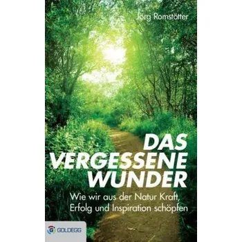Das vergessene Wunder - Romstötter, Jörg