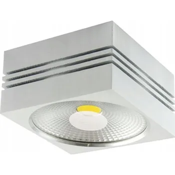 Stropní přisazené svítidlo Ideus 10 W stříbrné LED 65 cm 4000 K