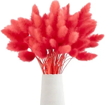 60 ks sušené pampasové trávy - červené barvy