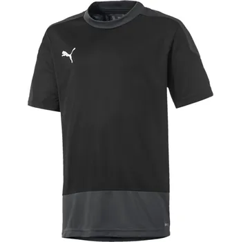 Dres Puma teamGOAL 23 Training Jersey 65648203 Velikost M
