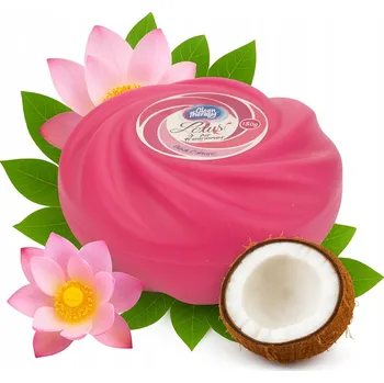 Vůně do bytu OSVĚŽOVAČ VZDUCHU V GELU LOTUS 150G RAIN FOREST RAVI