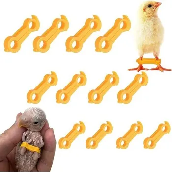 Osvětlení do terária 12dílná ortéza na nohy pro kuřata