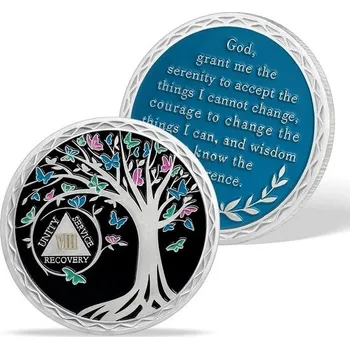 Mince AtSKnSK za střízlivost na 8 let Mince za střízlivost na 1-20 let Žetony a medailonky AA Dárky