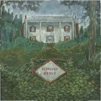 Zahraniční hudba CD Weirs: Diamond Grove 2025