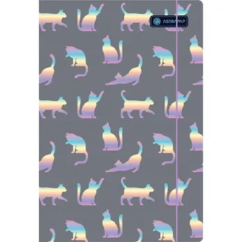 Desky s gumou A4 Astra