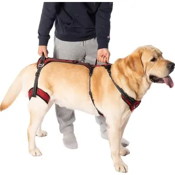 Pomůcka pro výcvik zvířete Zvedací postroj pro psy COODEO pro mobilitu, podpůrný postroj pro psy, postroj pro venčení psů,