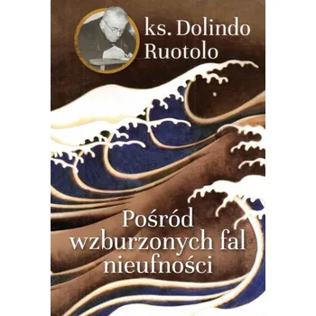 Umění Pośród wzburzonych fal nieufności Dolindo Ruotolo