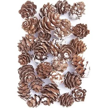 Vánoce Ozdobné mini šišky pokryté sněhem