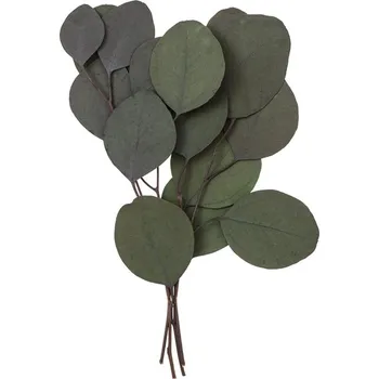 umělá květina Stabilizovaný eukalyptus Populus - zelený / 4 stonky, 20 cm