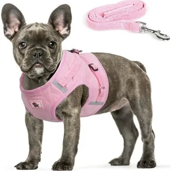 tréninková pomůcka pro psa Postroj FEimaX s vodítkem pro malé a střední psy a kočky, nastavitelný reflexní postroj odolný
