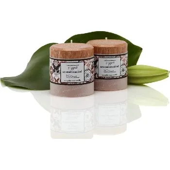 Svíčka Svíčka vonná AROMABOTANICAL 7,5 cm z eco palmového vosku - skořice+jablko|Ego Dekor