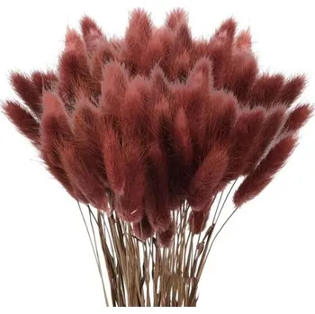 60 ks sušené pampasové trávy, sušený lagurus