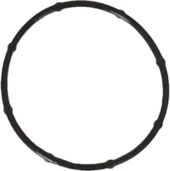 Těsnění motoru Těsnění, koleno sacího potrubí KAMOKA 8704349