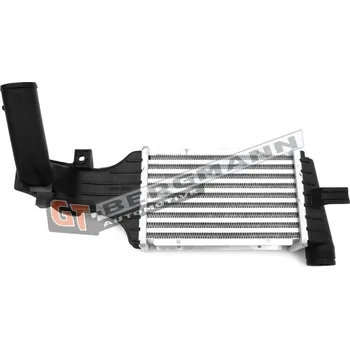 Chladič motoru Chladič turba GT-BERGMANN GT12-025