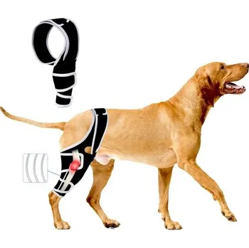 Pomůcka pro výcvik zvířete Bandáž na kyčel Furtent vel. XL