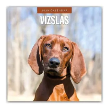 Diář Vizslas - Magyar Vizsla - Kurzhaariger Ungarischer Vorstehhund 2026 - 16-Monatskalender (EN)