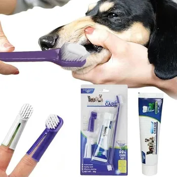 Zubní kartáček a zubní pasta pro psy