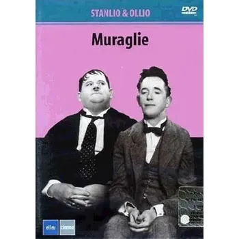 Video software Laurel a Hardy. Zdi. DVD