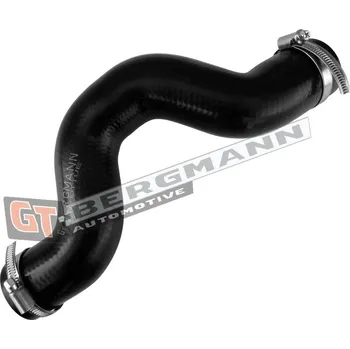 Hadička plnicího vzduchu GT-BERGMANN GT52-886