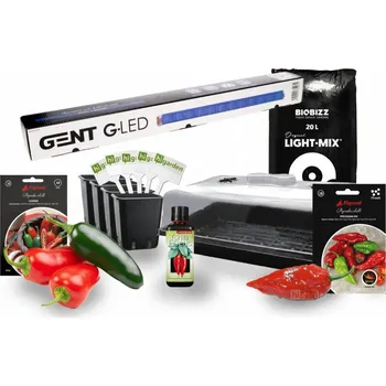 Pěstební box higarden Sada na pěstování chilli MEDIUM