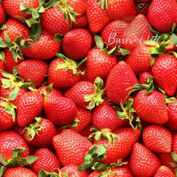 Úplet, Jahody k nakousnutí (E) (Top kvalitní úplet Bella digitisk)