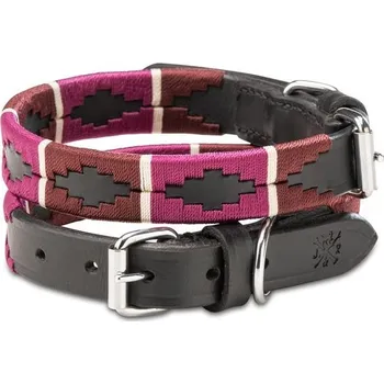 Obojek pro psa Kožený obojek pro psy Jack & Russell – polo design, ručně vyrobený a nastavitelný – prémiový kožený