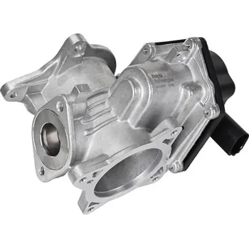 Ventil palivového systému AGR-Ventil DELPHI EG10757-12B1