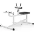 physionics Calf Machine JG86917