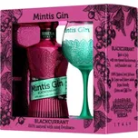 Mintis Gin Blackcurrant 41,8 %