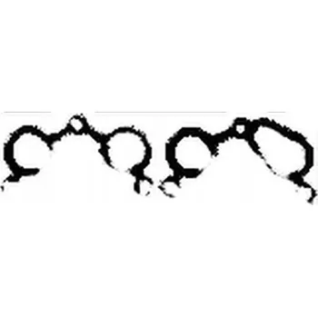 Těsnění výfuku Corteco 460247P Těsnění, výfukové potrubí