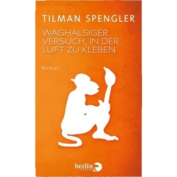 Odvážný pokus udržet se ve vzduchu: román