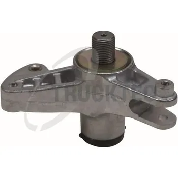 Rozvod motoru Sada na opravy, napínací rameno - žebrovaný klínový TRUCKTEC AUTOMOTIVE 02.19.126