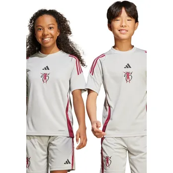 Dívčí tričko Dětské tričko adidas Performance JX1967 šedá 09X, vel. 128