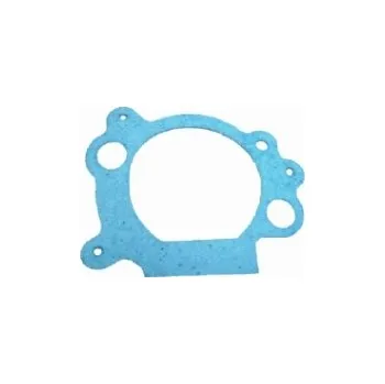 Těsnění tělesa vzduchového filtru pro BS OHV (CID)