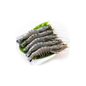 Maso a ryba Krevety black tiger 13/15 HOSO (neloupané, s hlavou) 1kg | BOXXI