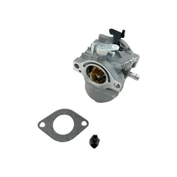 Karburátor pro BS 495706