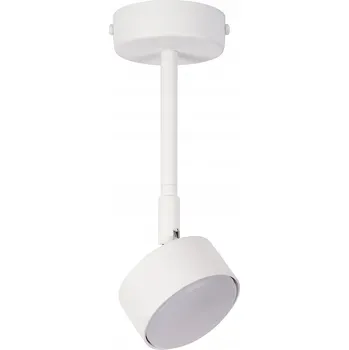 NEMO 1 M stropní svítidlo bílý