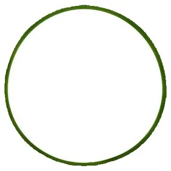 Automobilové těsnění Těsnění, koleno sacího potrubí PAYEN JD5982