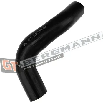 Hadička plnicího vzduchu GT-BERGMANN GT52-839