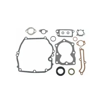 Sada těsnění pro BS QUANTUM 493263