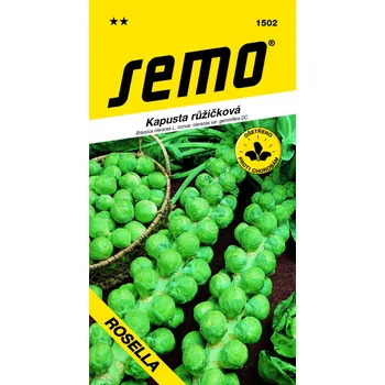 Semeno Semo Kapusta růžičková - Groninger 0,8g - VÝPRODEJ
