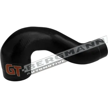 Palivový systém Hadička plnicího vzduchu GT-BERGMANN GT52-890