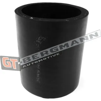 Hadička plnicího vzduchu GT-BERGMANN GT52-420