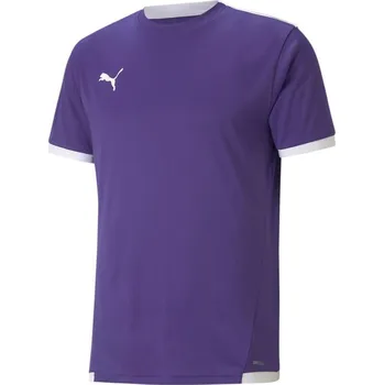 Dres Puma teamLIGA Jersey 70491710 Velikost S