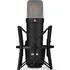 Mikrofon RODE NT1 Signature Black