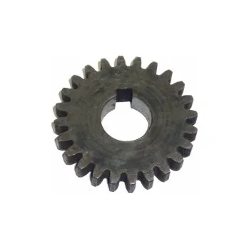 Příslušenství k zahradní technice Kolo ozubené DSK 317 malé