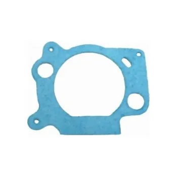 Těsnění vzduchového filtru pro BS OHV (bal)