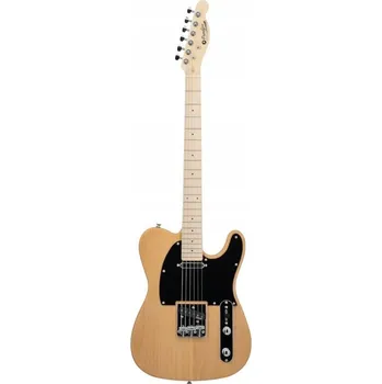 Kytara Elektrická kytara Prodipe Telecaster pro praváky, 6 strun